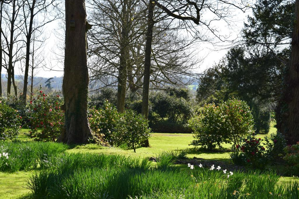 Llansabbath Country House B&B Abergavenny Kültér fotó