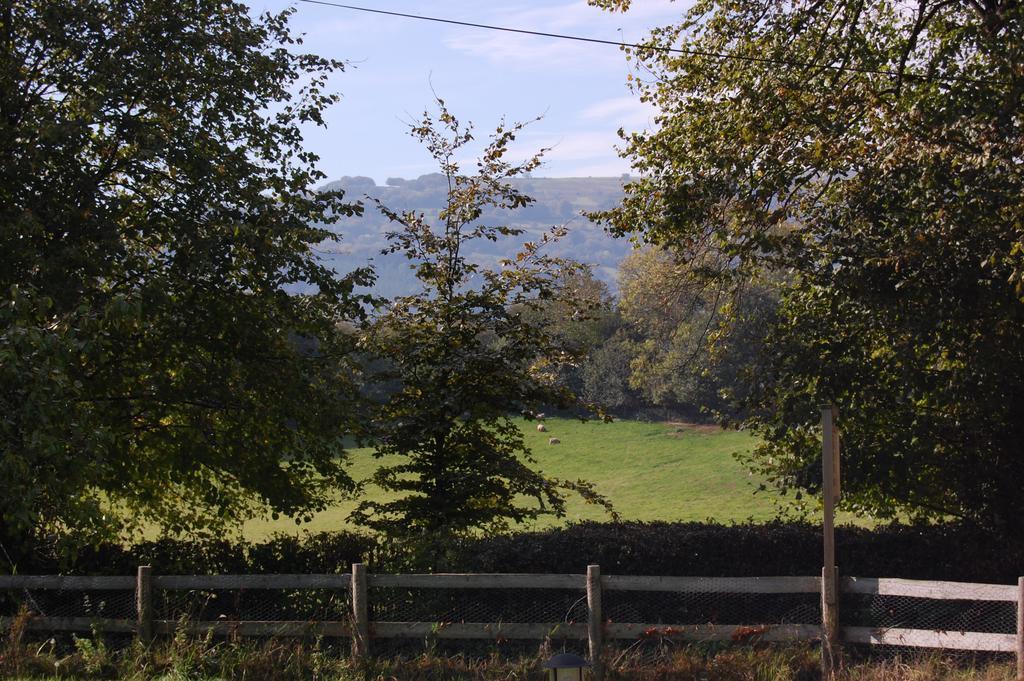 Llansabbath Country House B&B Abergavenny Kültér fotó