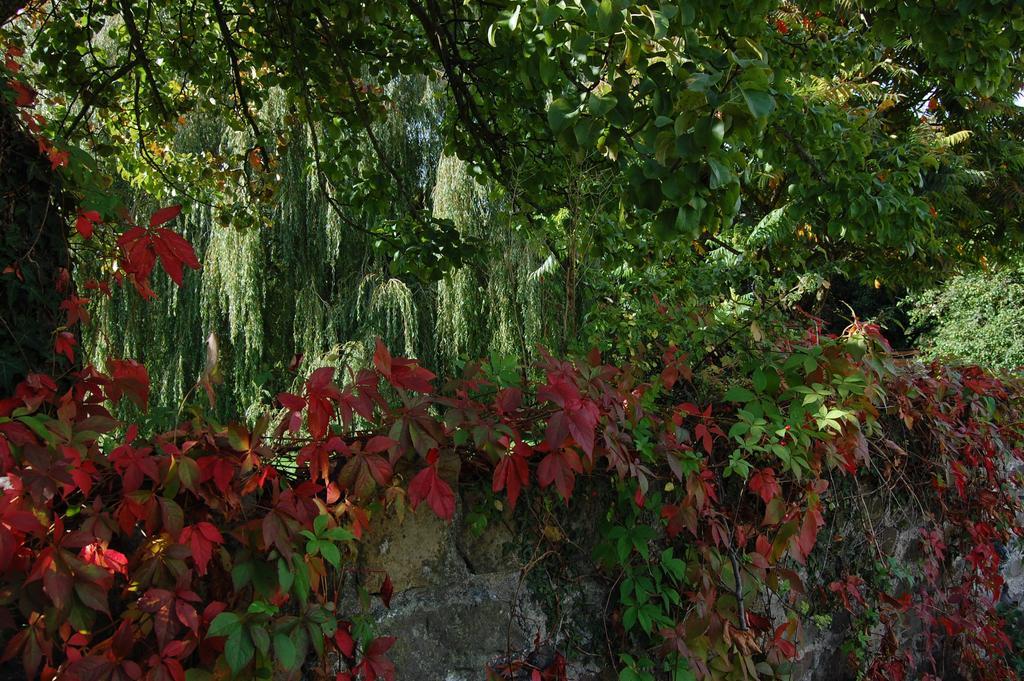 Llansabbath Country House B&B Abergavenny Kültér fotó